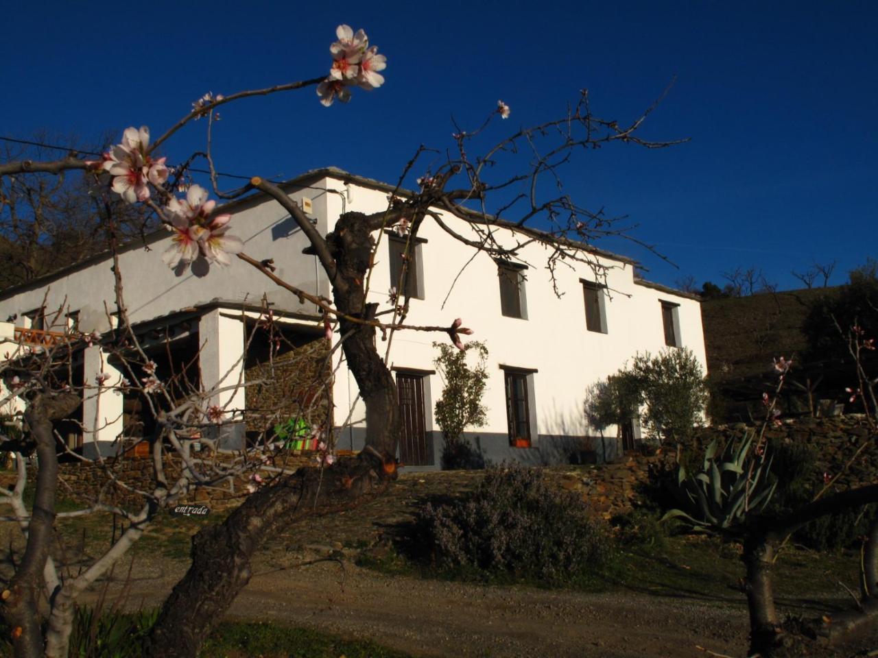 Casa Rural El Paraje De Bérchules Exterior foto